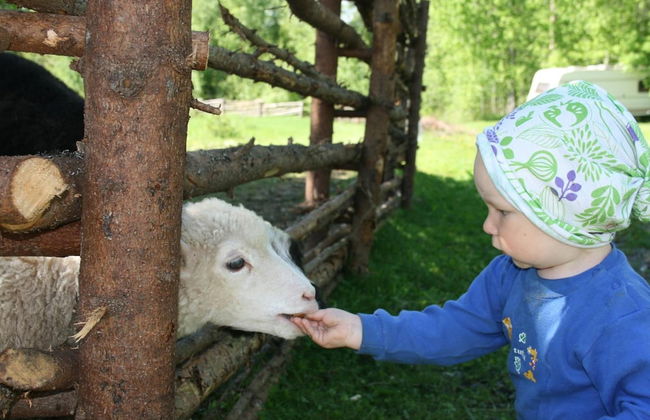 Valkeisen Loma - Foto 45