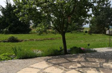 Agroturystyka "JAGAP" OAZA SPOKOJU - Foto 22