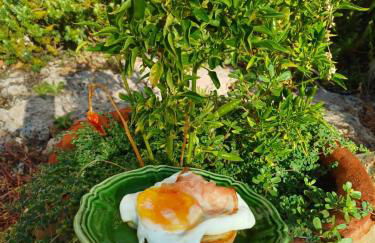 Masseria Giustiniani - Foto 56