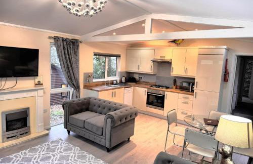 Welsh Villa-Hot Tub-Tenby-Carmarthen-Forestsetting - Foto 3