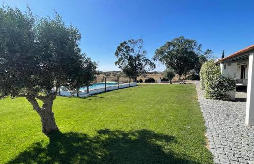 Herdade da Boavista - Foto 32