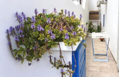 Sa Caletta Appartamenti - Foto 51