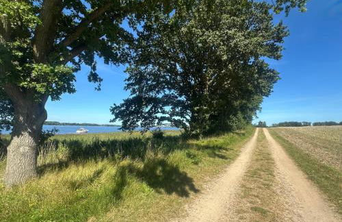 Schleibungalow Nr15 zw Ostsee und Schlei - Foto 25