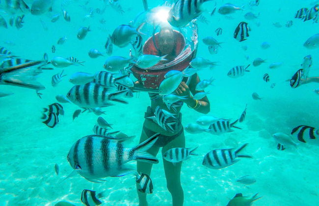 Activités aquatiques à Belle Mare + bateau à moteur dans l'est de l'île Maurice - Photo 2