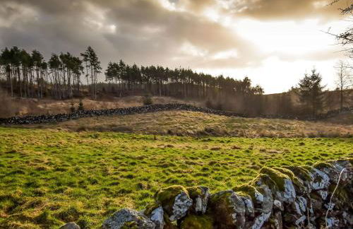 Borgan Cottage - Foto 26