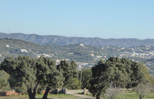 Portel CIP - Foto 22