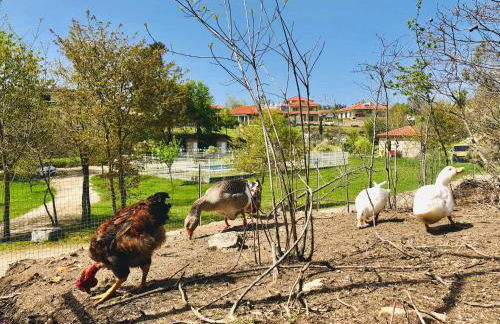 Casa da Quinta da Prelada Simão - Foto 58