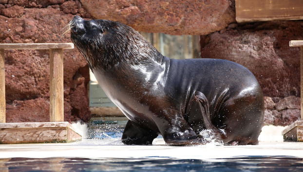 Oasis Wildlife Strongventura - Photo 4