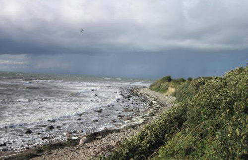 Fewo-Hiddenseeblick - Photo 29