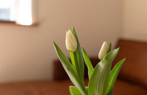 Reethus 22 Loft 1 - Foto 7