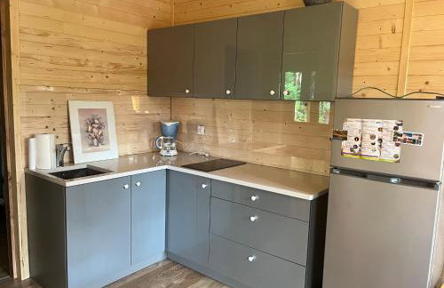 Leśna Oaza Radawa - Foto 12