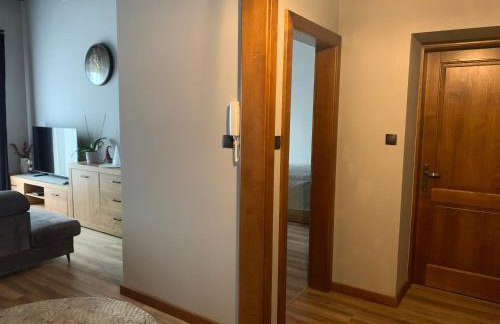 Bulwar Apartament Stare Miasto - Foto 24