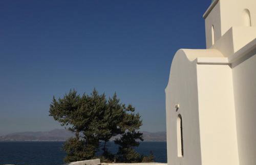 Anna's Studio - Photo 61