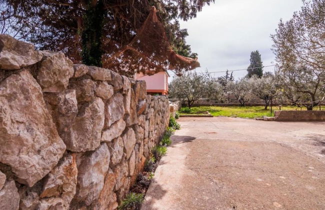 Seaside Oasis Apartments on Island Ugljan - Foto 39