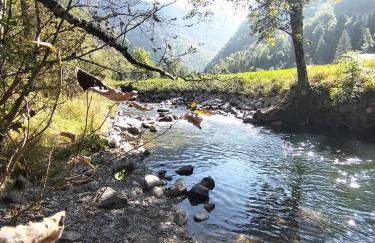 Châlet 8 personnes + grand terrain et rivière - Foto 29