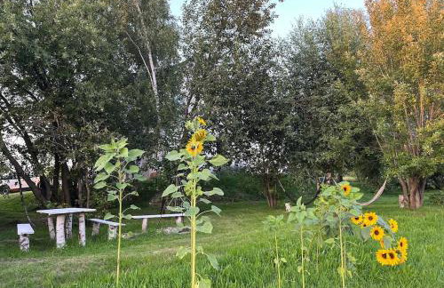 Stylish villa with jacuzzi, terrace, garden, Tatra - Foto 35