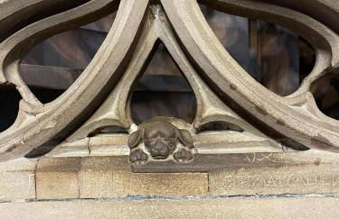 Appartement chaleureux Orangerie - Foto 1