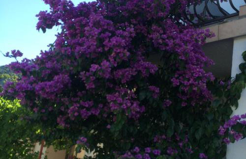 Apartment Marica - Foto 6