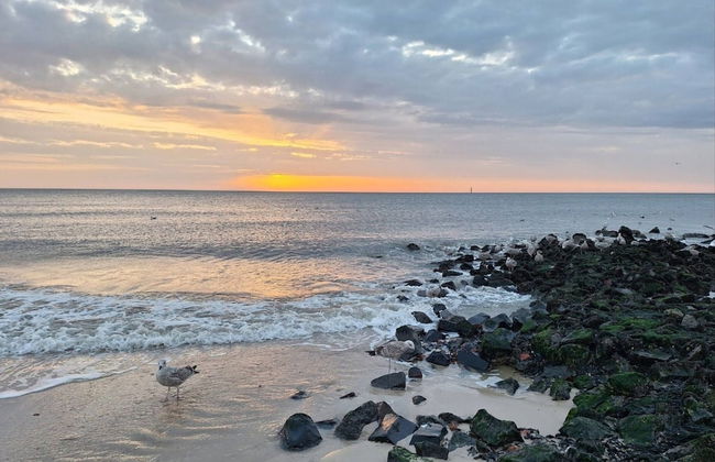 Ferienwohnung in Westerland auf Sylt - Foto 36