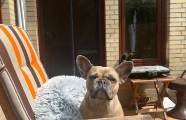 Idyllische Wohnung mit Terrasse und Seezugang - Foto 32