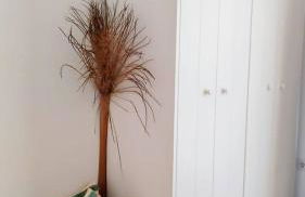 Casa Maresia El Cotillo - Foto 27