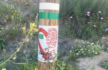 Casa El Higueral - Foto 32