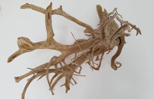 VILLA THEIA - SELENE , appartement de charme pour 4 à 6 personnes prés de la plage et du village de Koufonissi - Foto 21