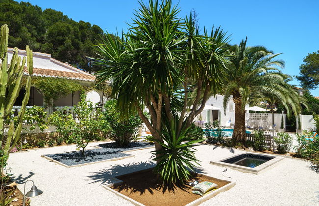 El Palmeral - Foto 42