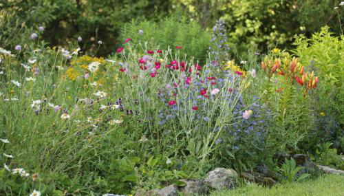 Ferienwohung zum Wasserfall - Foto 4