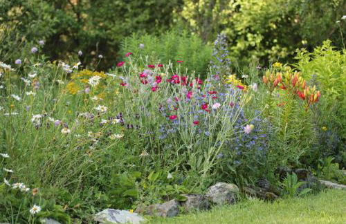 Ferienwohung zum Wasserfall - Foto 4