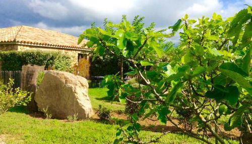 Clos Simoni - Foto 4