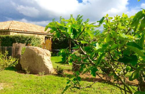 Clos Simoni - Foto 4