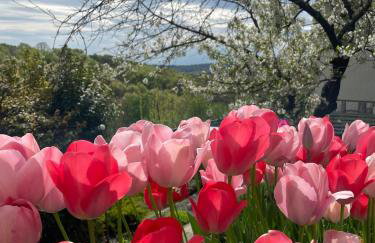 Holiday Home Medimurski Ceker - Foto 49