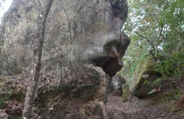 Casa Raposeira - Foto 14