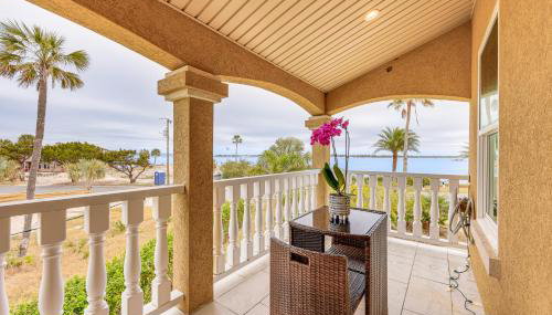 Watch Dolphins St Augustine Gem Near Downtown! - Foto 2