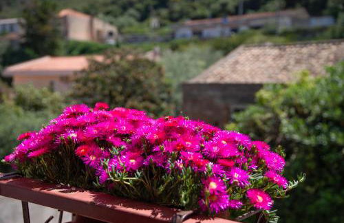 Casa fronte mare a San Saba - Foto 20