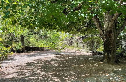 "Clair de Lune" Gîte sur 6000 m2 arborés - Foto 20