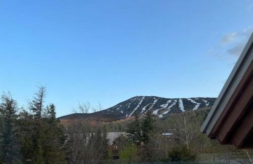 Summit Haus Golf and Liftside Penthouse - Foto 8