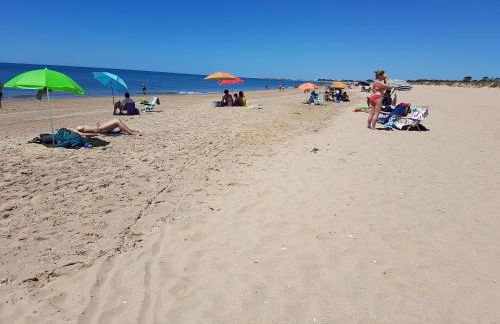 Pinares de Lepe - Foto 25