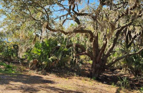 Sea Island Seclusion Marsh View with Beach Pass - Foto 3