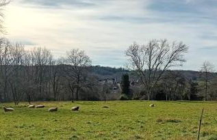 Le Petit Figuier - Foto 15