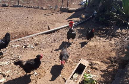 Casa Cueva Villa Aday - Foto 37