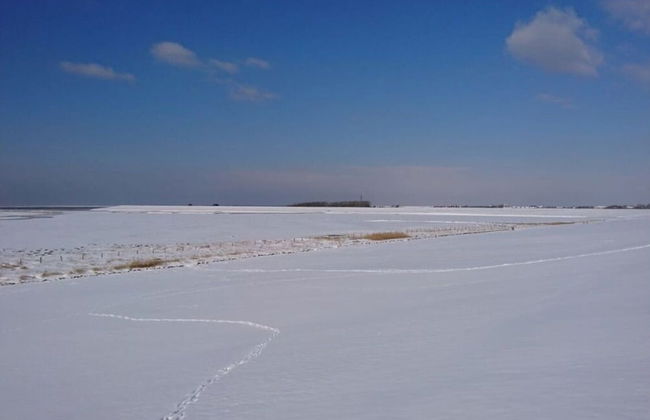 West in Haus Luttmoor - Foto 18