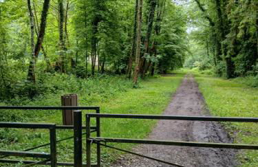 la clé du bouton d'or - Foto 18