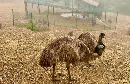 Agriturismo Villa Paradiso Esotico - Photo 9