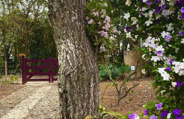 Sitio Recanto Maçussa - Foto 13