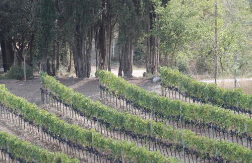 Agriturismo Il Poderuccio - Foto 70