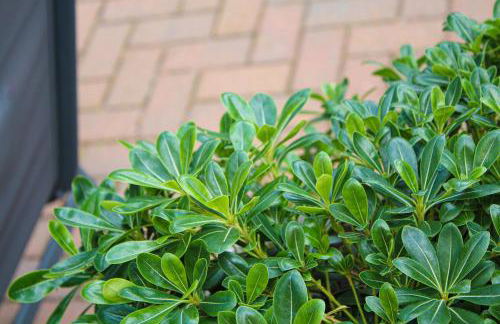 Lavish 2 bed sleeps 5 near Lanark - Photo 40