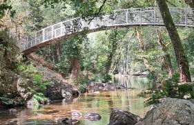 Moinho das fragas - Foto 43