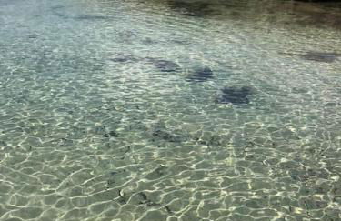 La casa al mare - Foto 30